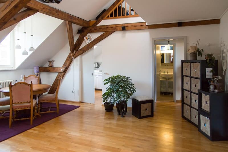 originelle Dachwohnung mit Galerie (2)