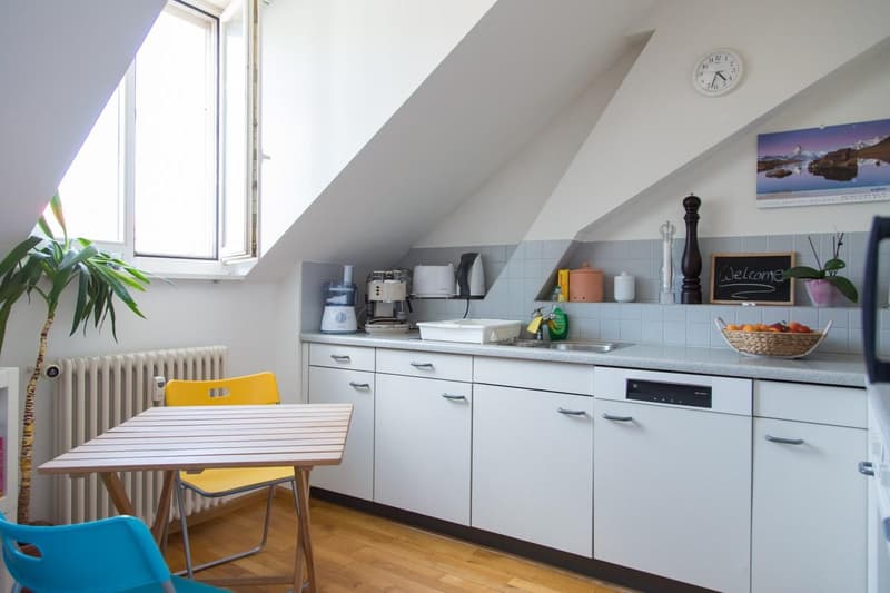 originelle Dachwohnung mit Galerie (5)