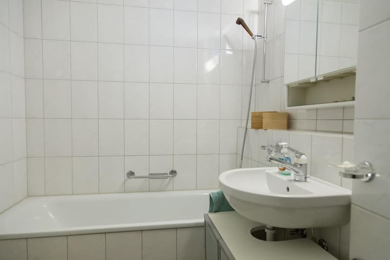 originelle Dachwohnung mit Galerie (8)