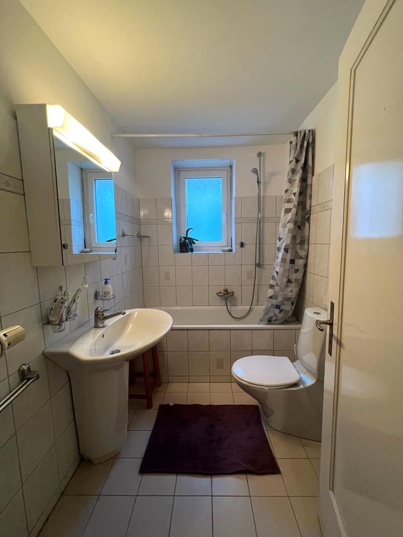 Charmante Altbauwohnung nähe Kannenfeldpark (5)