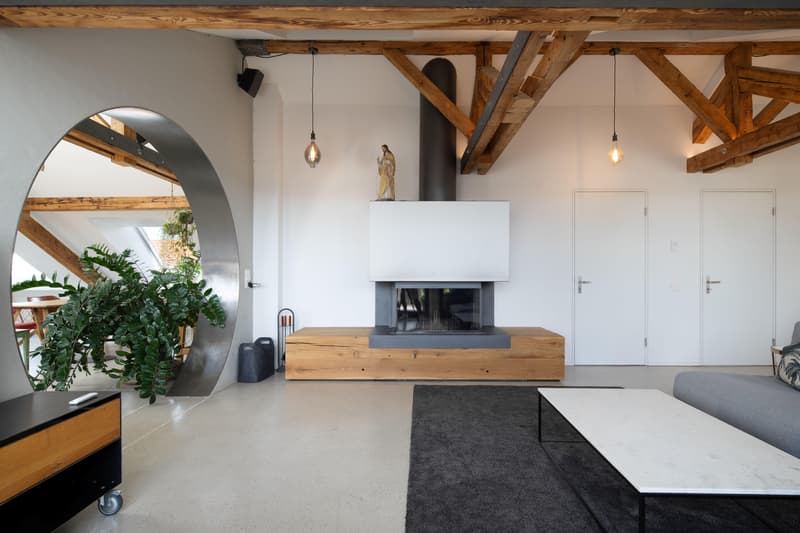 Spektakuläre Dachwohnung mit grosser Terrasse (2)
