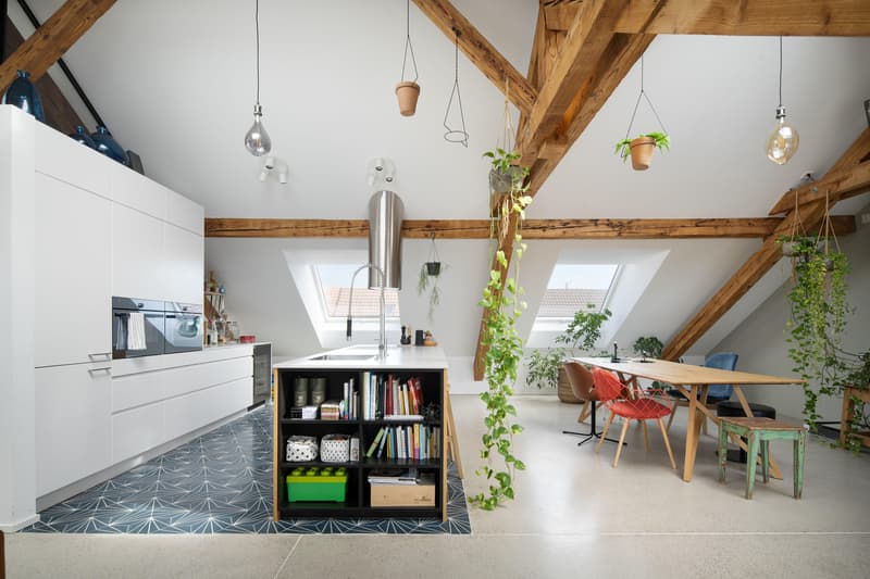 Spektakuläre Dachwohnung mit grosser Terrasse (4)
