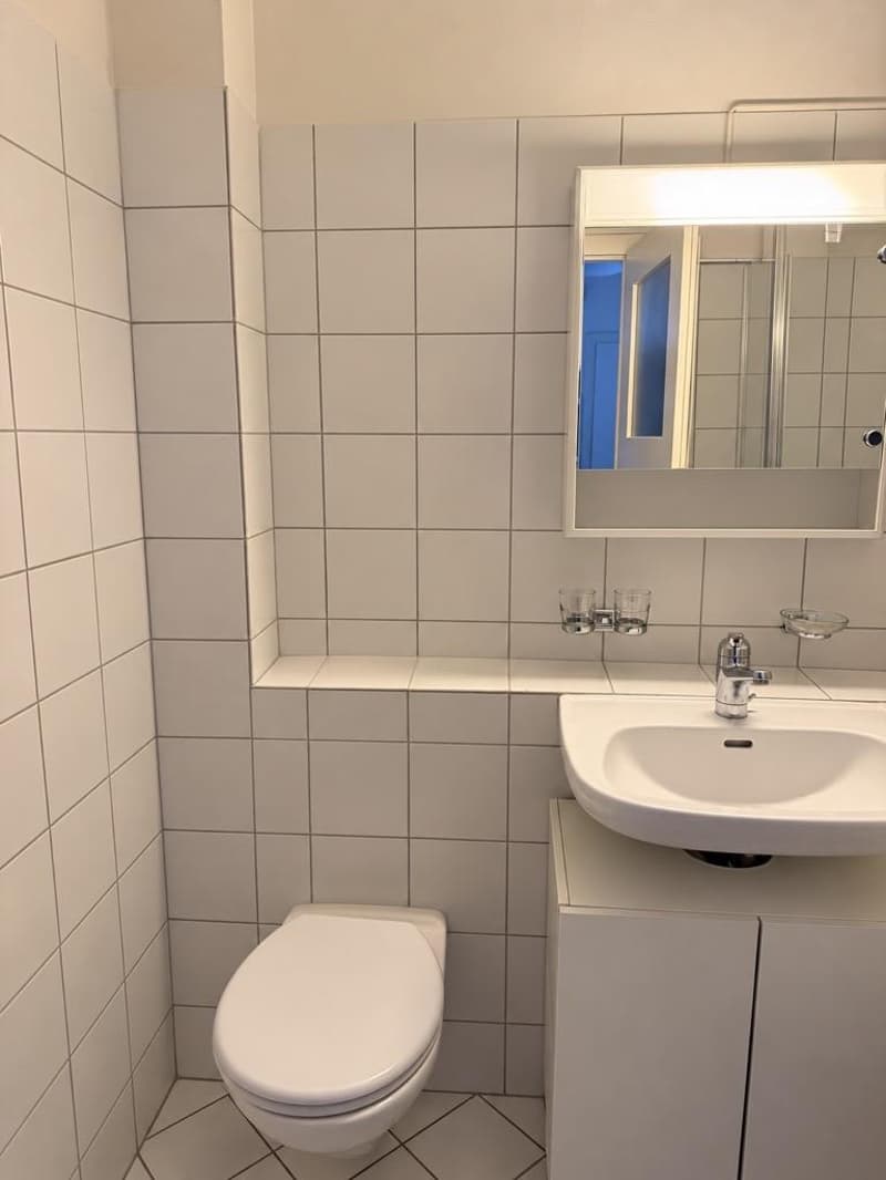 Gemütliche 3-Zimmer-Wohnung an ruhiger Lage (7)