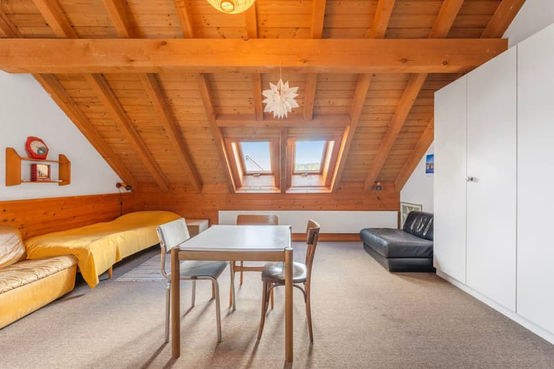 wooden beams, windows, bed, couch, table, chairs, carpet, lamp, storage shelves