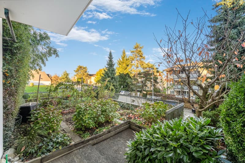 Garden with plants, trees, pathway, paved ground, garden wall, railings, street with trees, buildings in background