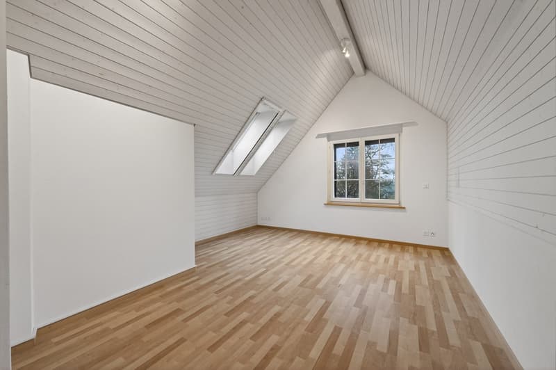 Appartement mansarde élégant à Gossau ZH (10)