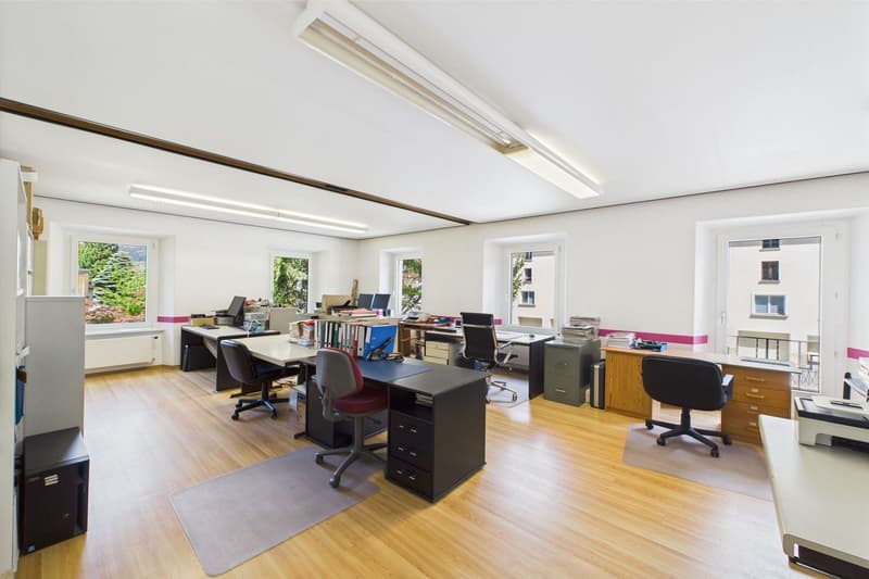 Maison multifamiliale / objet de rendement dans une villa élégante et historique (10)