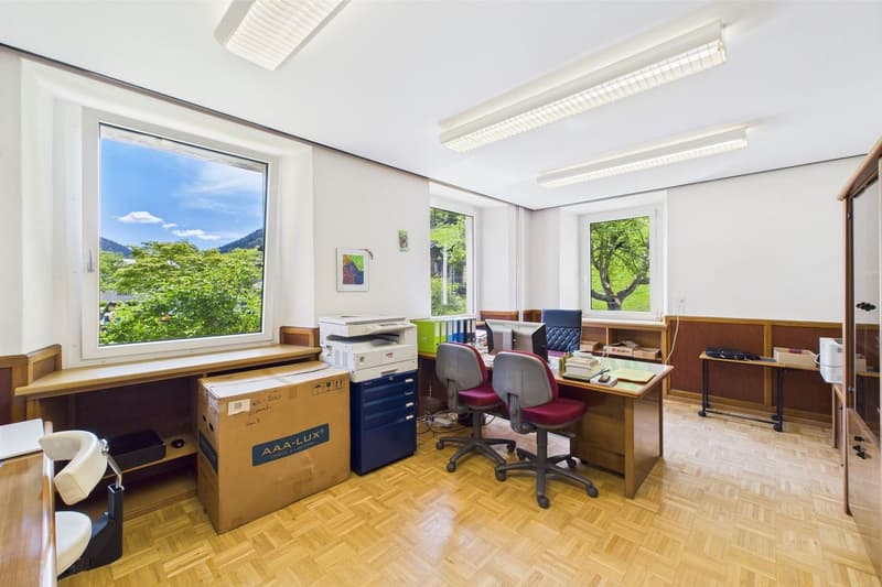 Maison multifamiliale / objet de rendement dans une villa élégante et historique (6)