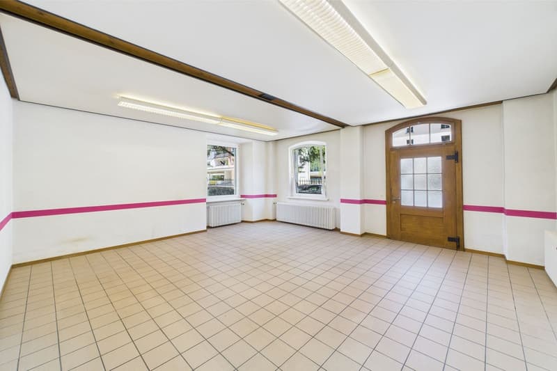 Maison multifamiliale / objet de rendement dans une villa élégante et historique (7)