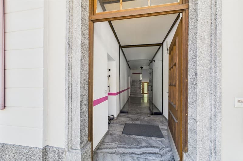 Maison multifamiliale / objet de rendement dans une villa élégante et historique (3)