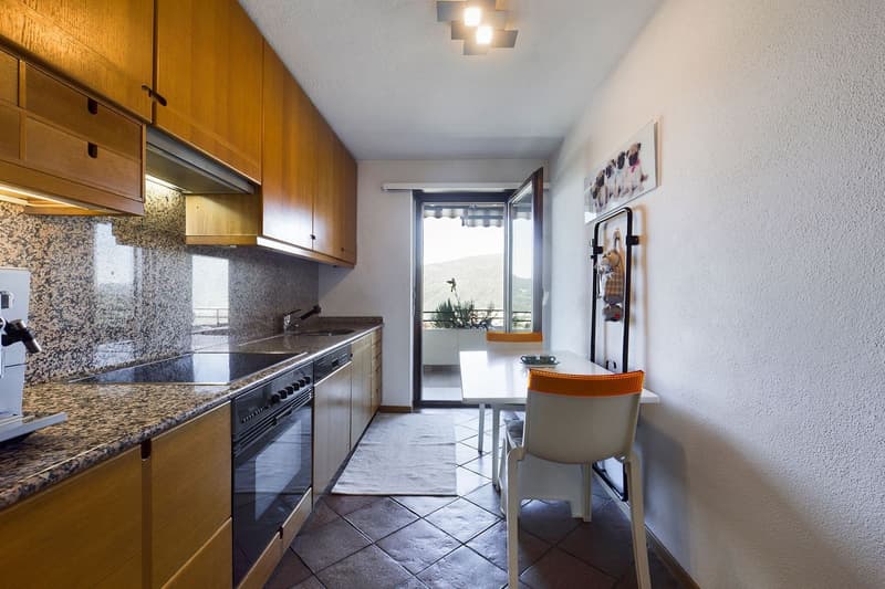 Comano - Appartement duplex élégant (9)