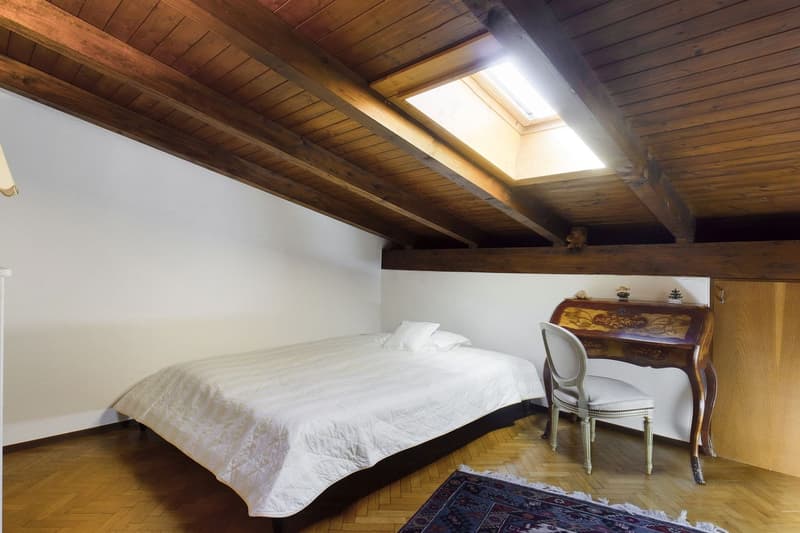 Comano - Appartement duplex élégant (13)