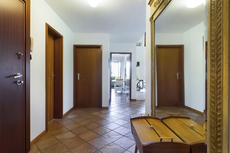 Comano - Appartement duplex élégant (14)