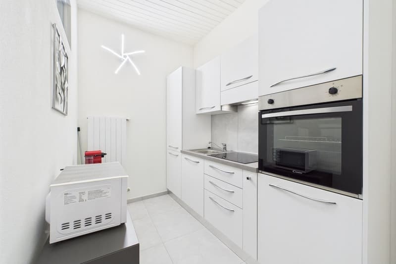 Morcote - Splendida proprietà, ideale per più generazioni! (17)