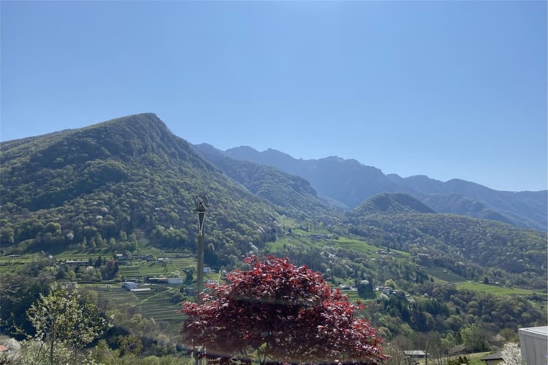 Villa de design dans le vert d'Arogno - Vue panoramique de rêve ! (26)