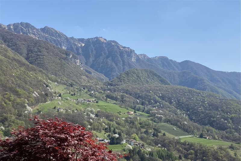 Villa de design dans le vert d'Arogno - Vue panoramique de rêve ! (9)