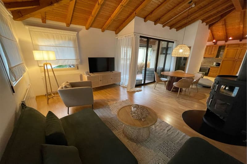 Lugano - Interessante investimento a pochi passi dal centro città (3)