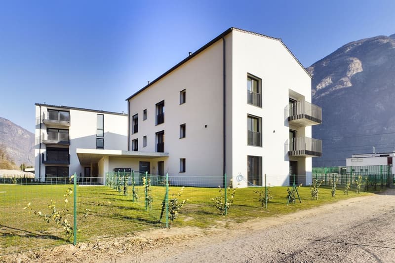 Moderne Wohnung inmitten der Natur mit schöner Terrasse - Neubau in Iragna! (1)