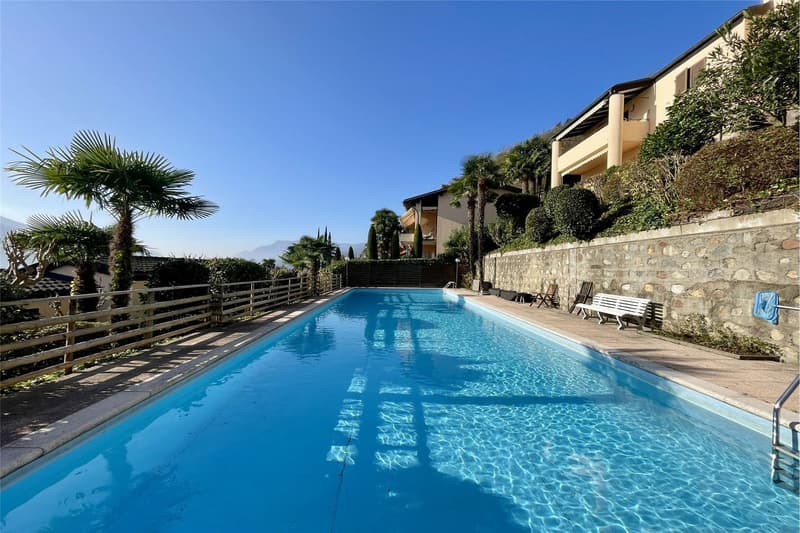 Un vero paradiso per le vacanze a Morcote (5)