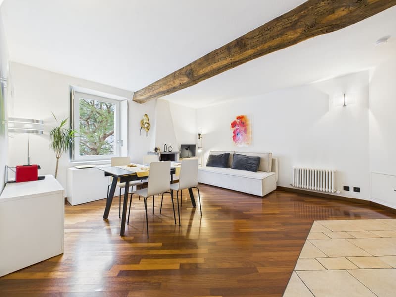 Appartamento di 2½ locali con splendida vista lago nel cuore di Morcote (2)