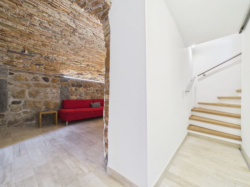 Charmant rustico rénové au cœur de Morcote (7)