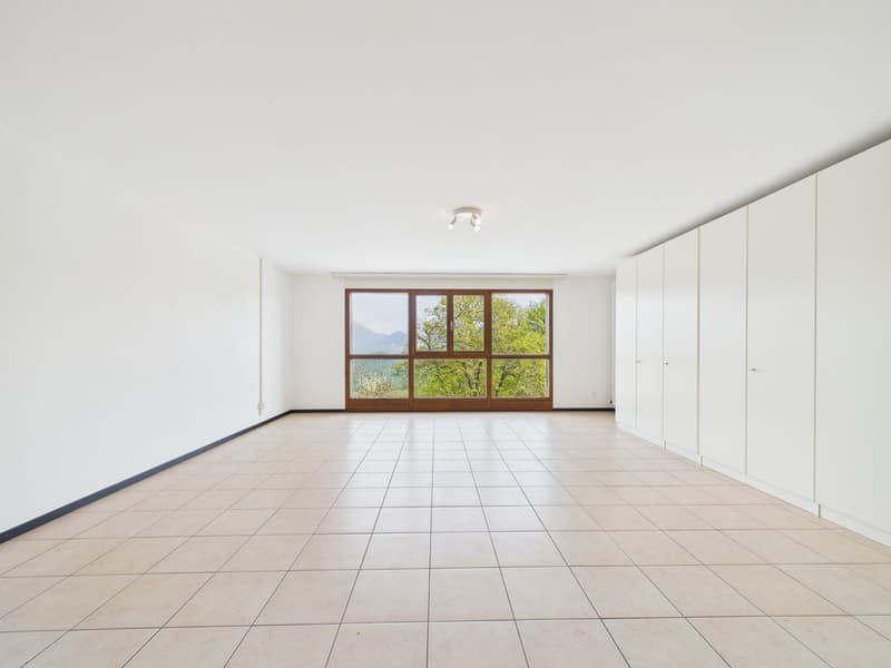 Elegante maisonette di 4½ locali con vista panoramica (13)