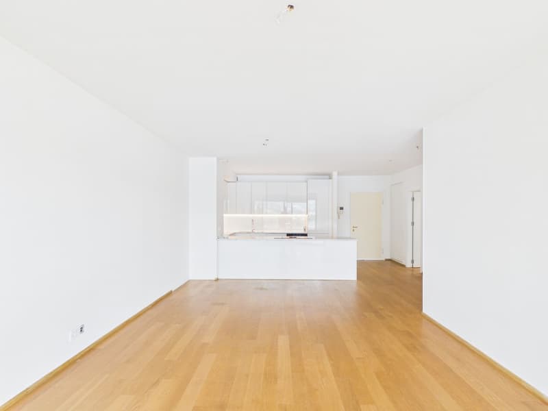 Appartement panoramique avec une vue rêvée sur le golfe de Lugano (9)