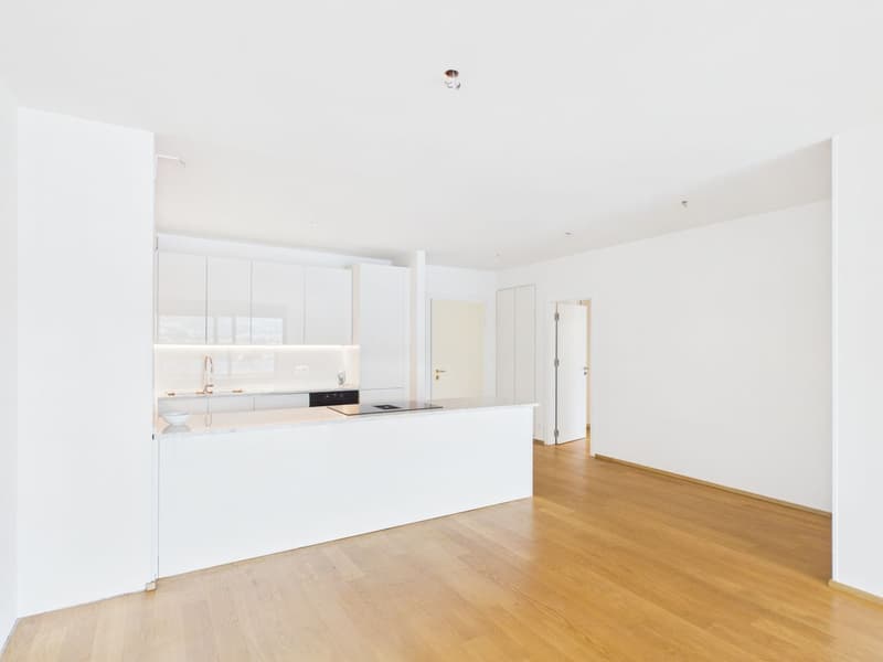 Appartement panoramique avec une vue rêvée sur le golfe de Lugano (10)