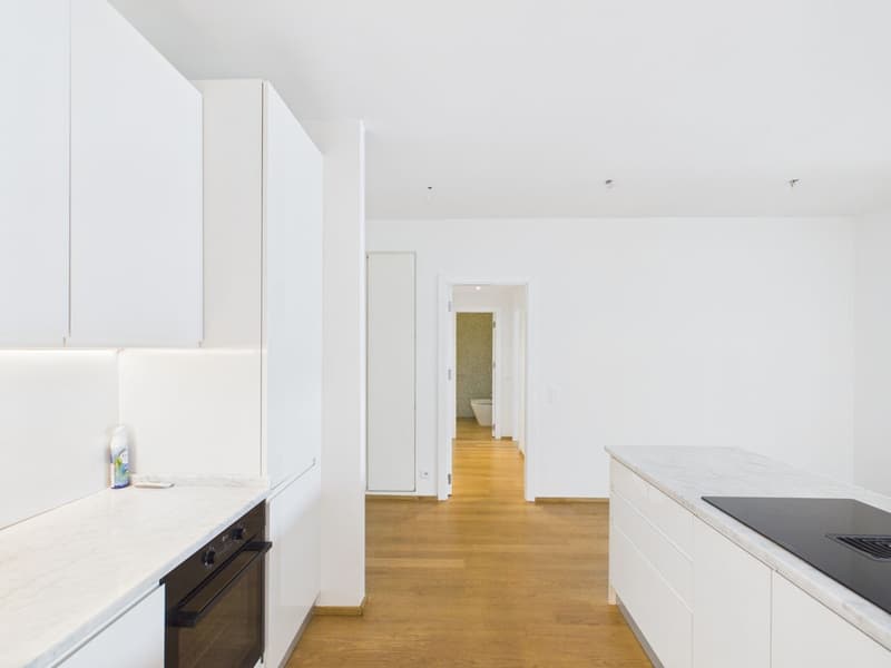 Appartement panoramique avec une vue rêvée sur le golfe de Lugano (13)