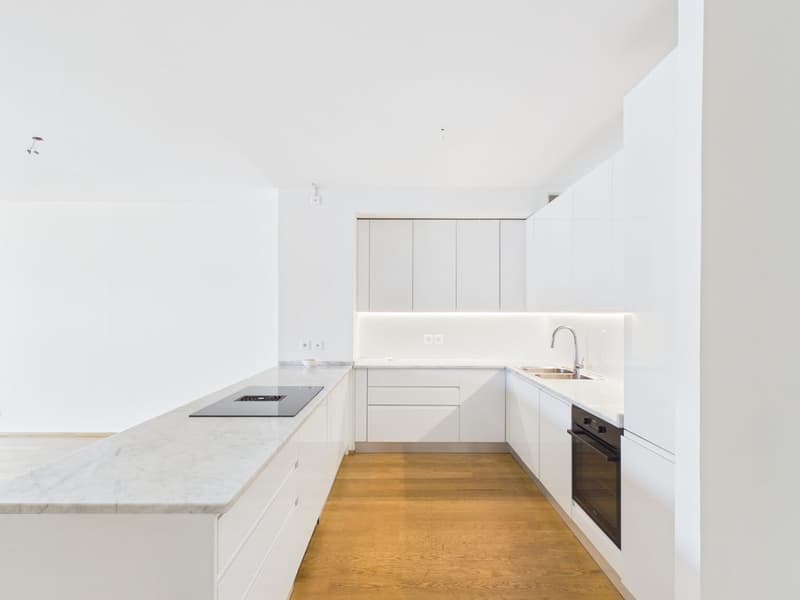 Appartement panoramique avec une vue rêvée sur le golfe de Lugano (11)