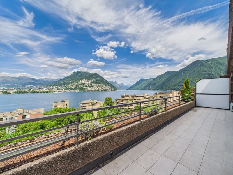 Appartement panoramique avec une vue rêvée sur le golfe de Lugano (7)