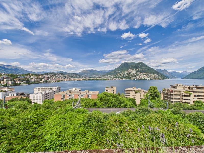 Appartement panoramique avec une vue rêvée sur le golfe de Lugano (3)