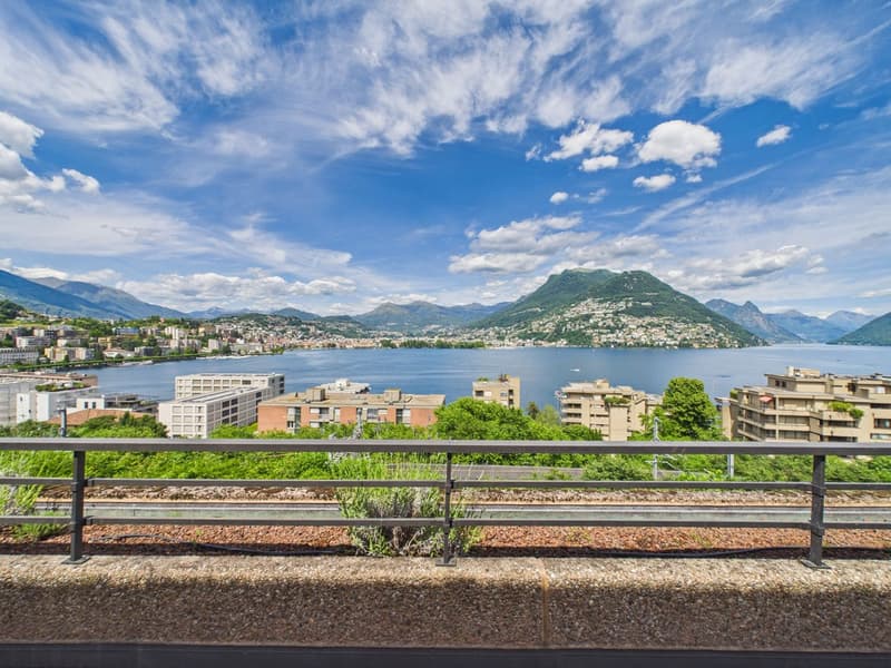 Appartement panoramique avec une vue rêvée sur le golfe de Lugano (1)
