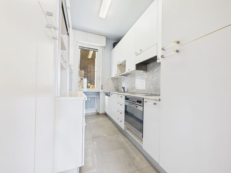 Appartement 3½ pièces avec vue sur le lac (Copie) (10)