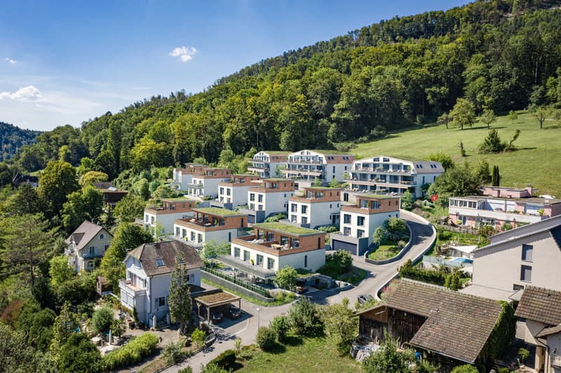 Spacious 4.5-room apartment in a sunny hillside location (2)