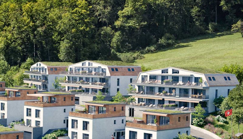 Spacious 4.5-room apartment in a sunny hillside location (10)