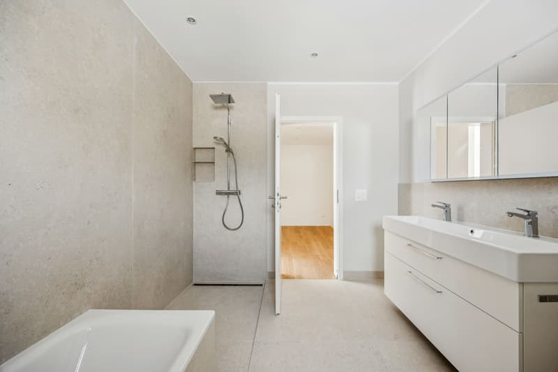 Spacious 4.5-room apartment in a sunny hillside location (8)