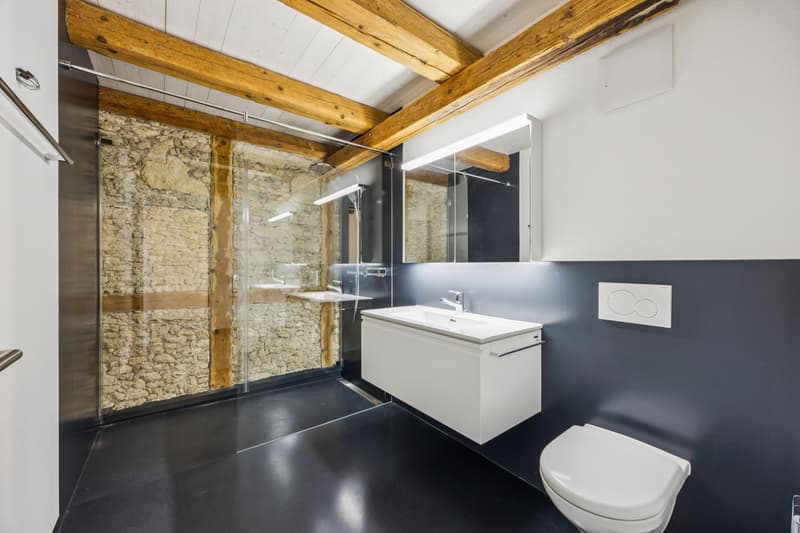Exclusive 5.5-room attic maisonette with charm (8)