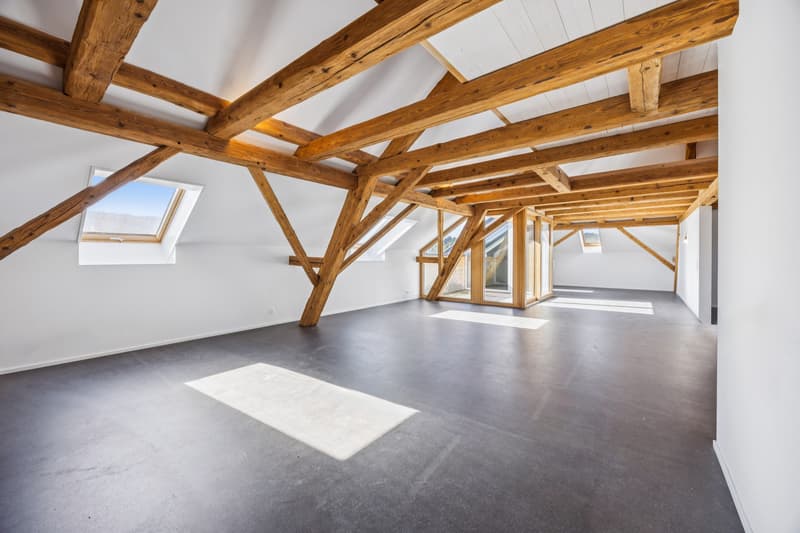 Exclusive 5.5-room attic maisonette with charm (5)