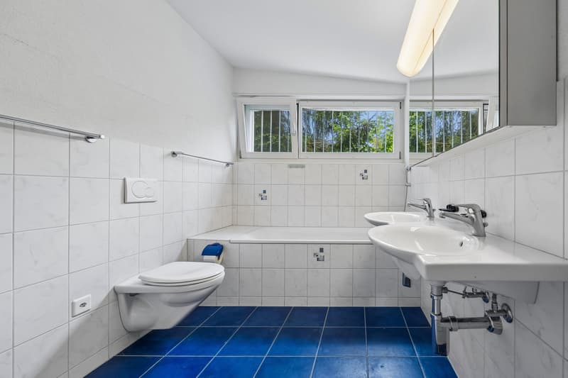 Peaceful living with modern comfort near Aarau and yet in the green (6)