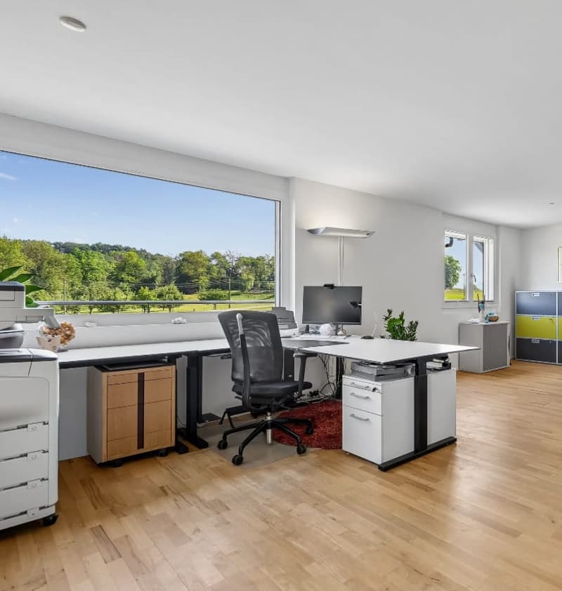 Exclusive living with a view of the greenery in Hettlingen (11)