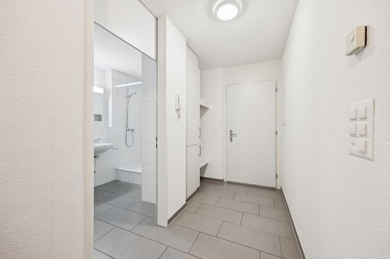 Bright 2.5-room apartment with large terrace! (7)