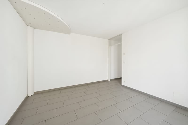 4.5-Room Attic Apartment with Large Roof Terrace! (8)