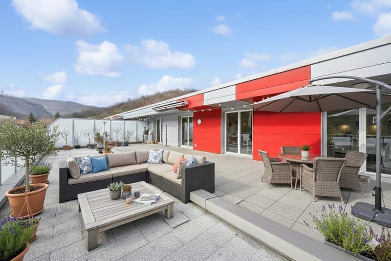 4.5-Room Attic Apartment with Large Roof Terrace! (2)