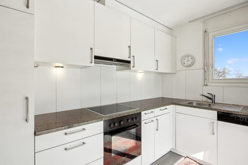 4.5-Room Attic Apartment with Large Roof Terrace! (9)