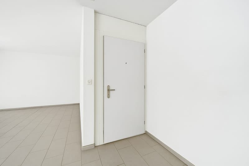 Appartamento mansardato di 4,5 locali con grande terrazza sul tetto! (13)