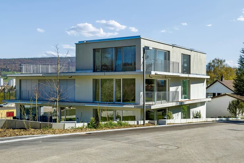 2.5-Zi.-Gartenwohnung mit grosser Terrasse in Neuenhof (10)