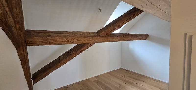 Duplex moderne de 2,5 pièces à louer à Stein AG (n° 20) (5)
