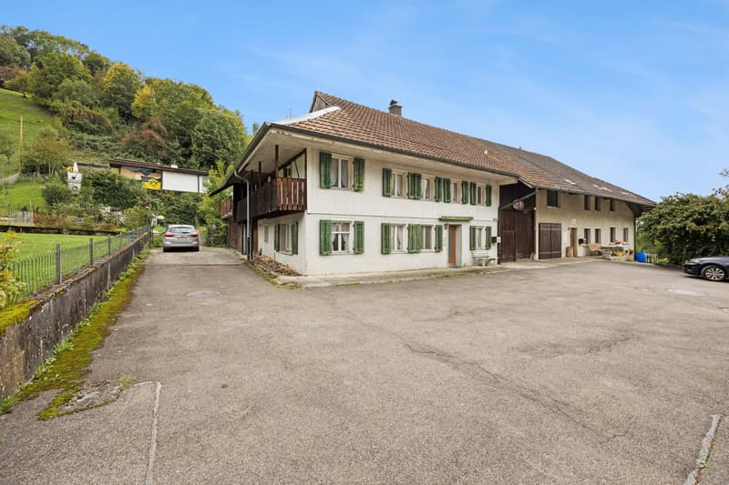 Spacious 7-room house in Leibstadt with large roof terrace and plenty of potential (3)