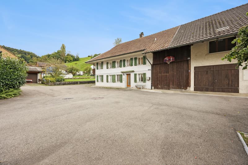 Spacious 7-room house in Leibstadt with large roof terrace and plenty of potential (2)